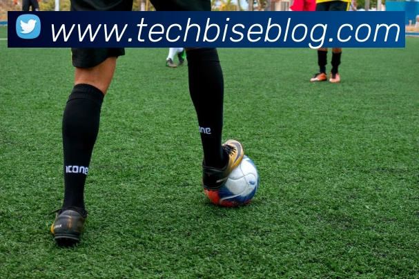 开云手机在线登陆入口APP 封面图